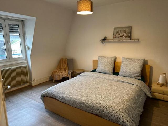 Beau F3 - Proche Gare Apartman Mulhouse Kültér fotó