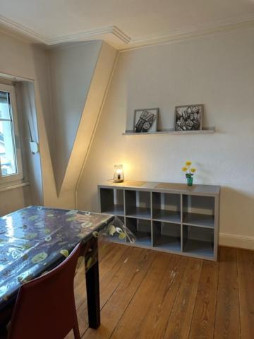 Beau F3 - Proche Gare Apartman Mulhouse Kültér fotó